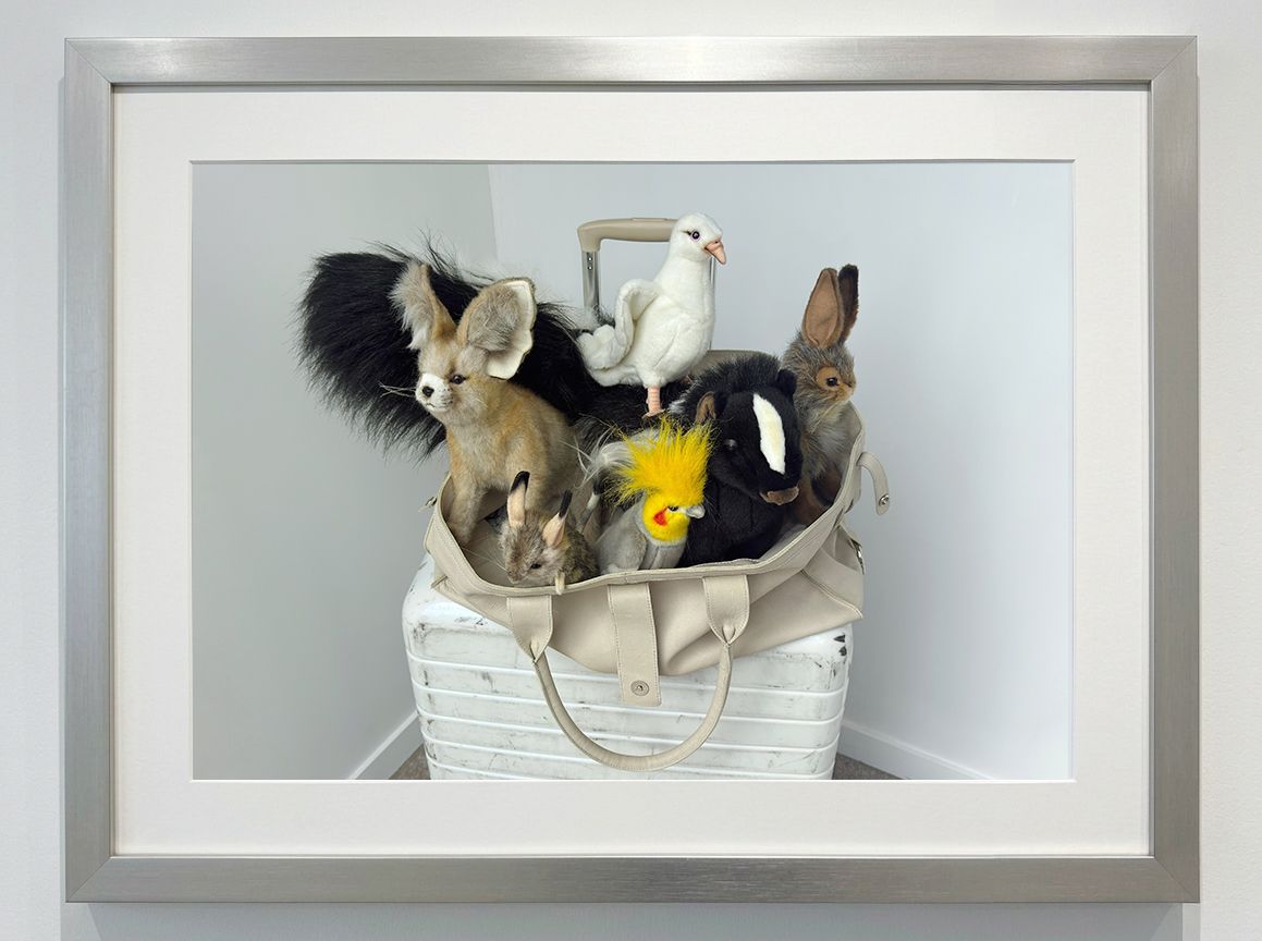 Emotional support animals